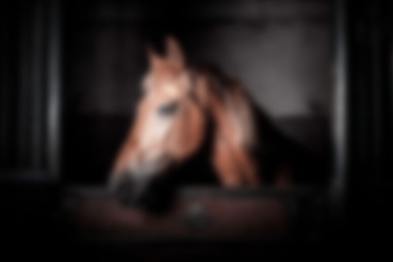 Post With Carousel