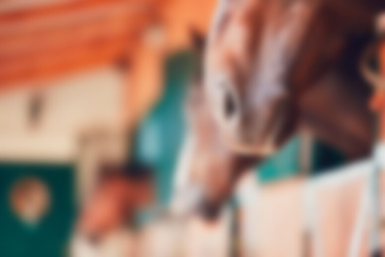 Post With Carousel