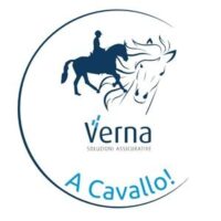 https://tutelacavallo.it/wp-content/uploads/2025/09/logo-Verna-A-Cavallo-tutela-cavaliere-e-cavallo-200x200.jpg